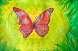 Mariposa – geometria sagrada (2014)