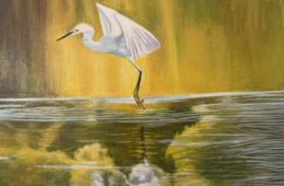 White heron (2021)