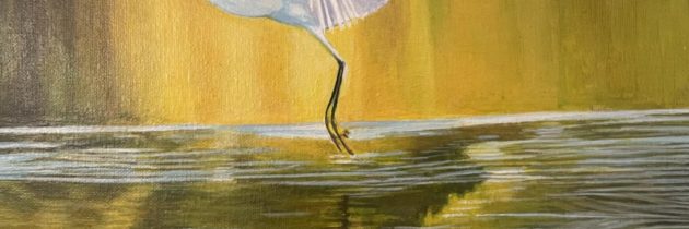 White heron (2021)