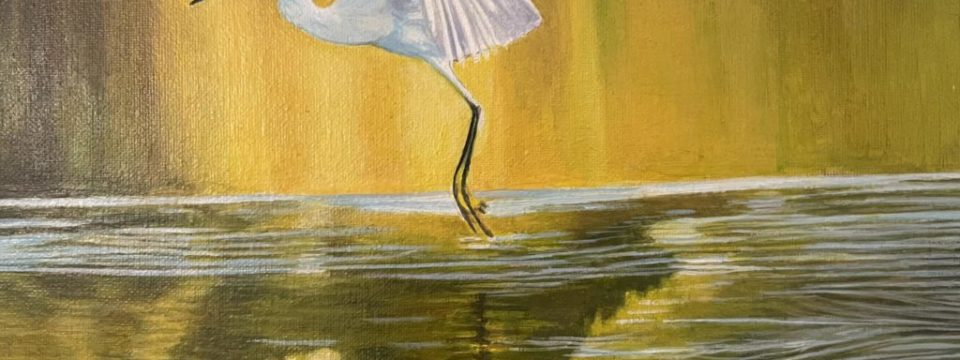 White heron (2021)
